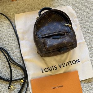 Louis Vuitton Palm Springs Mini Backpack Monogram